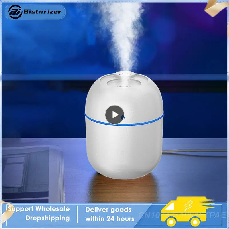 Air Humidifier Portable USB Essential Oil Diffuser - Easier Life Emporium