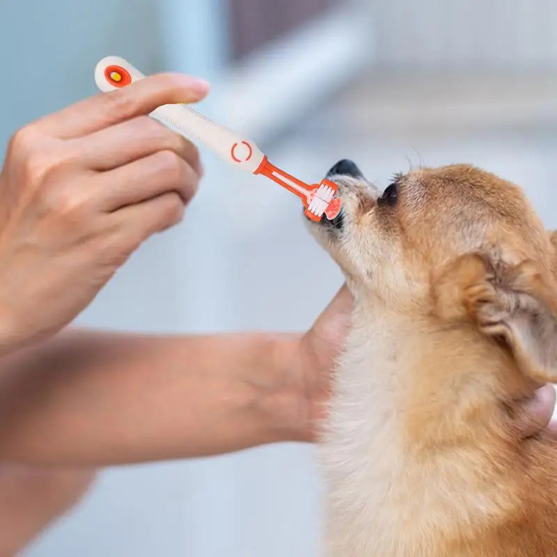 Toothbrush And Toothpaste Dog Teeth Cleaning Brush Kit - Easier Life Emporium